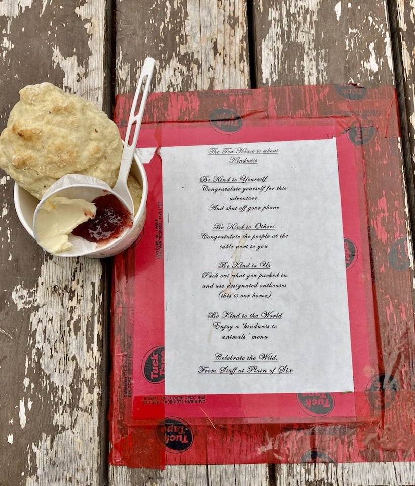 A delicious scone and some inspiring words from the Teahouse staff