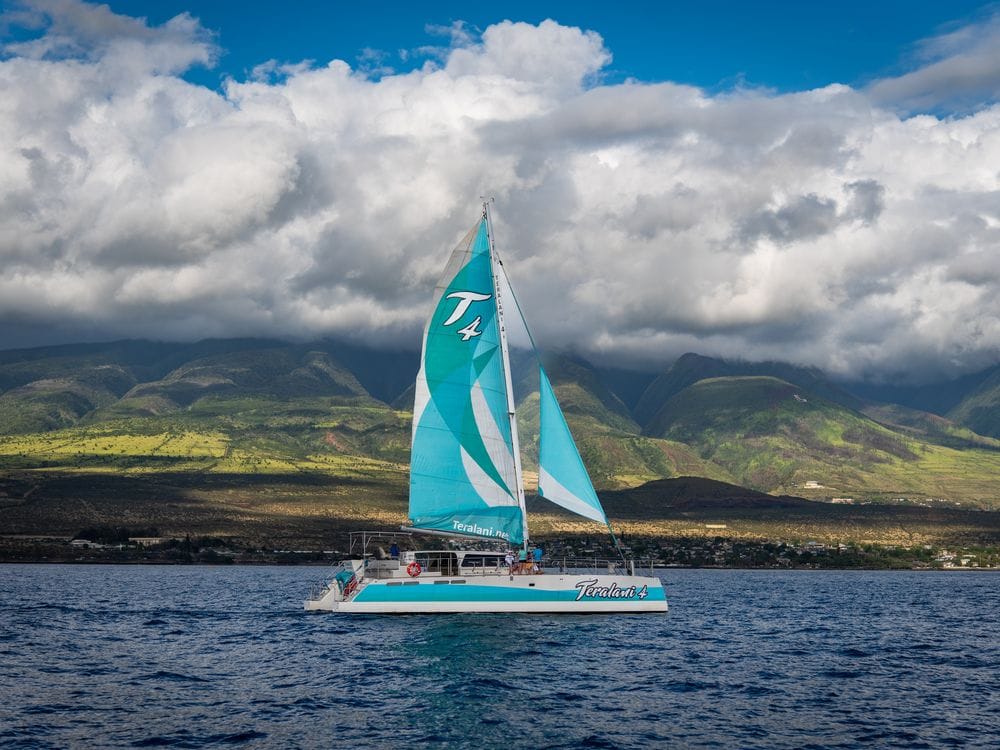 Teralani Sailing Adventures Sail along Maui’s west coast on a dolphin watching cruise with Teralani Sailing Adventures
