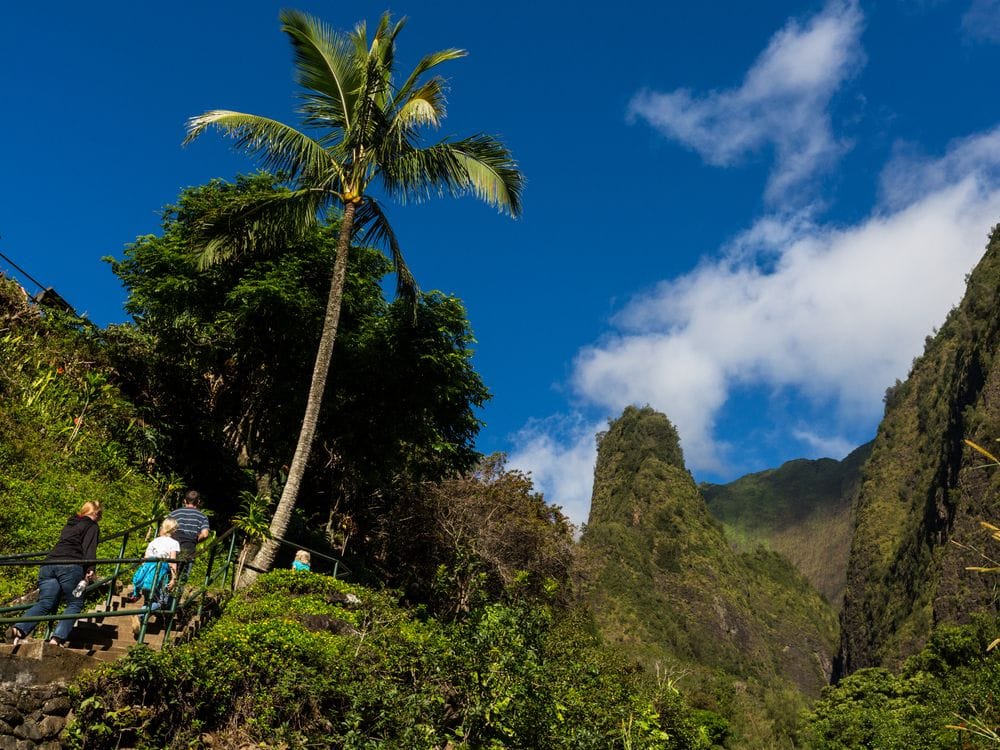 A short walk leads to the best views of the lush ʻIao Needle
