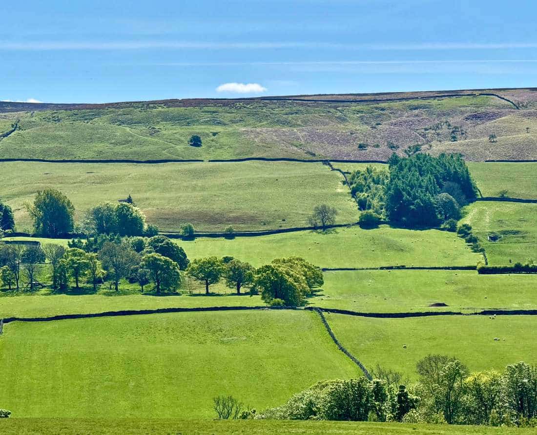Visiting the Yorkshire Dales farmland is like stepping into the world of James Herriot
