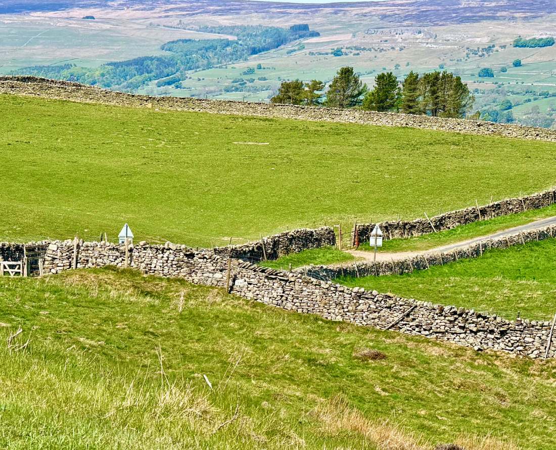 Dry stone walls separate farmer’s field in North Yorkshire. 