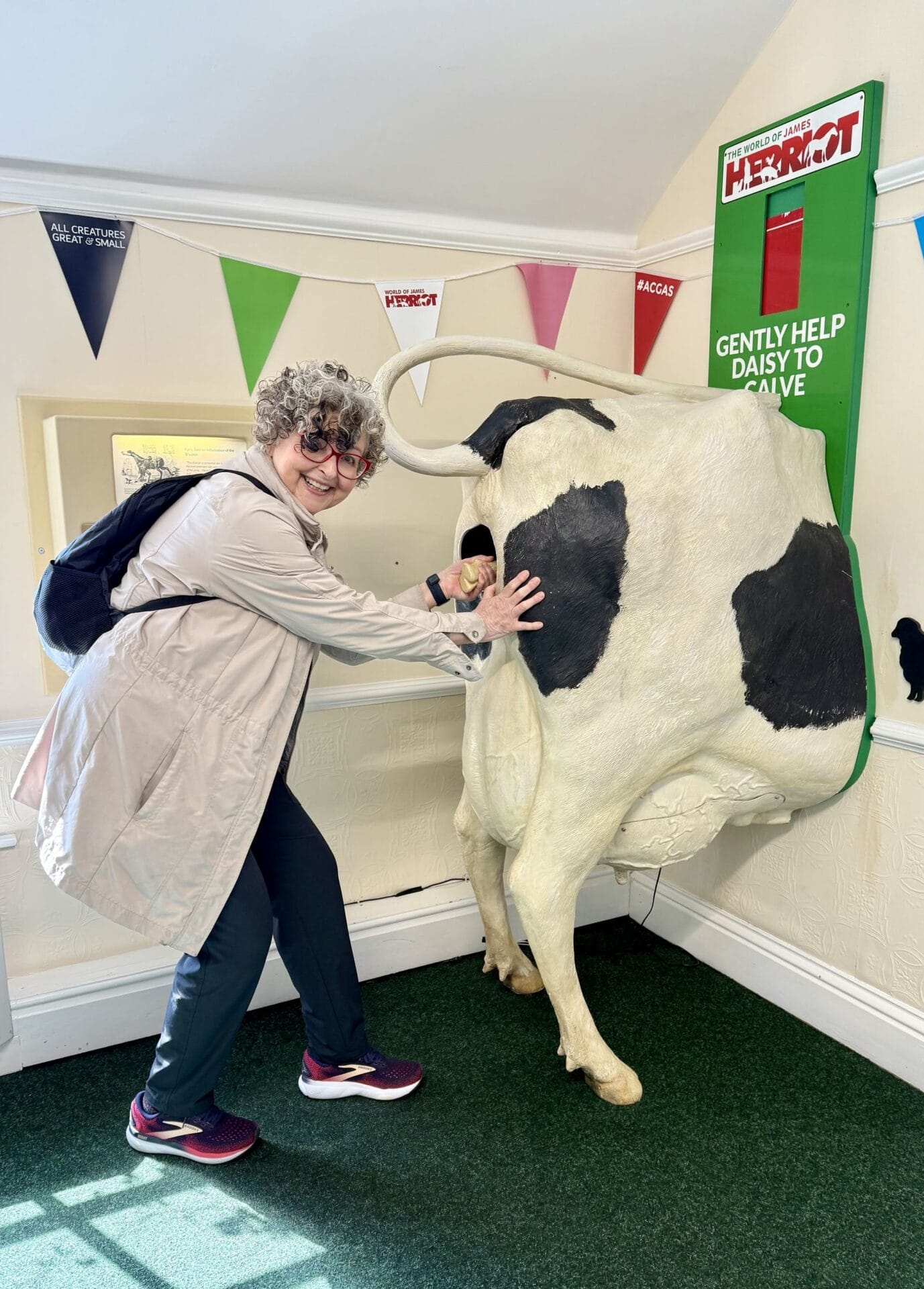 Travel writer Linda Barnard “birthing” a calf at the World of James Herriot Museum in Thirsk, North Yorkshire