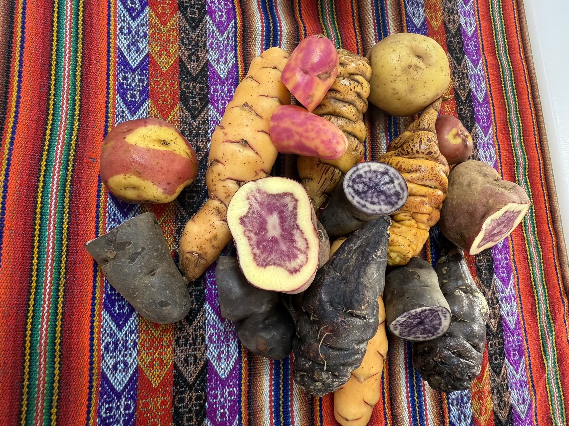 Colorful potatoes at a Haku Tours cooking class