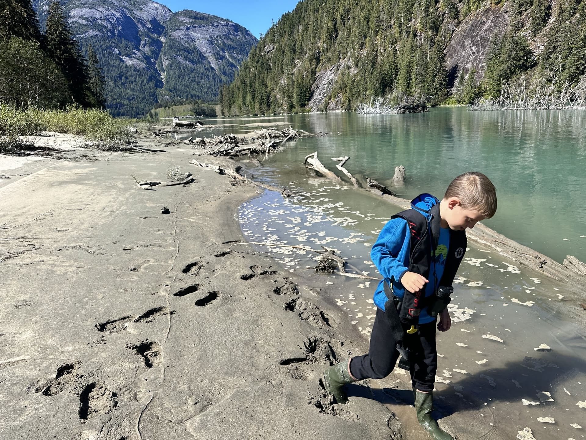 A young passenger looks for animal tracks in the Great Bear Rainforest