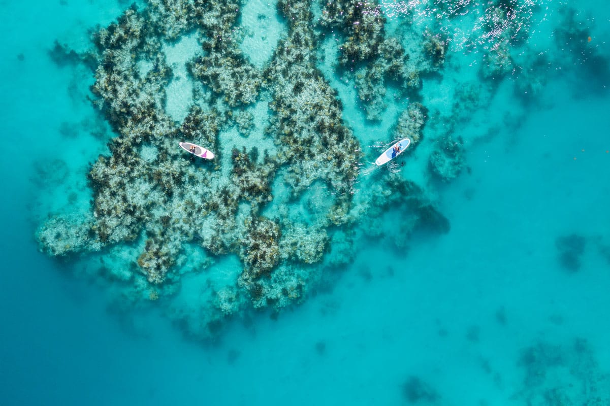 From a leisurely swim to shipwreck diving and snorkelling, stand-up paddleboarding and kayaking, Bermuda’s warm, turquoise waters have something to entice everyone