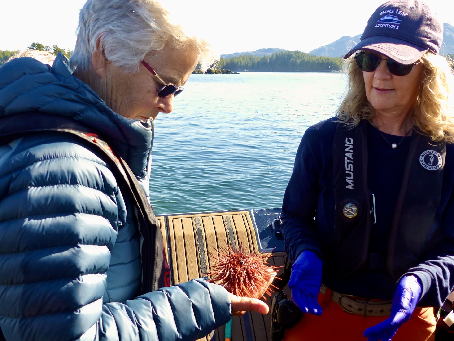 Naturalist Janet Winbourne helps a passenger examine a red sea urchin