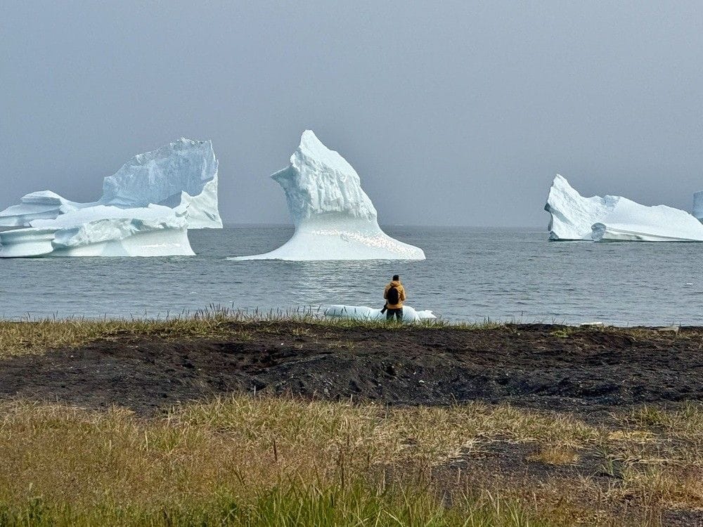 Iceberg watching from the black-sand beach at Qeqertarsuaq