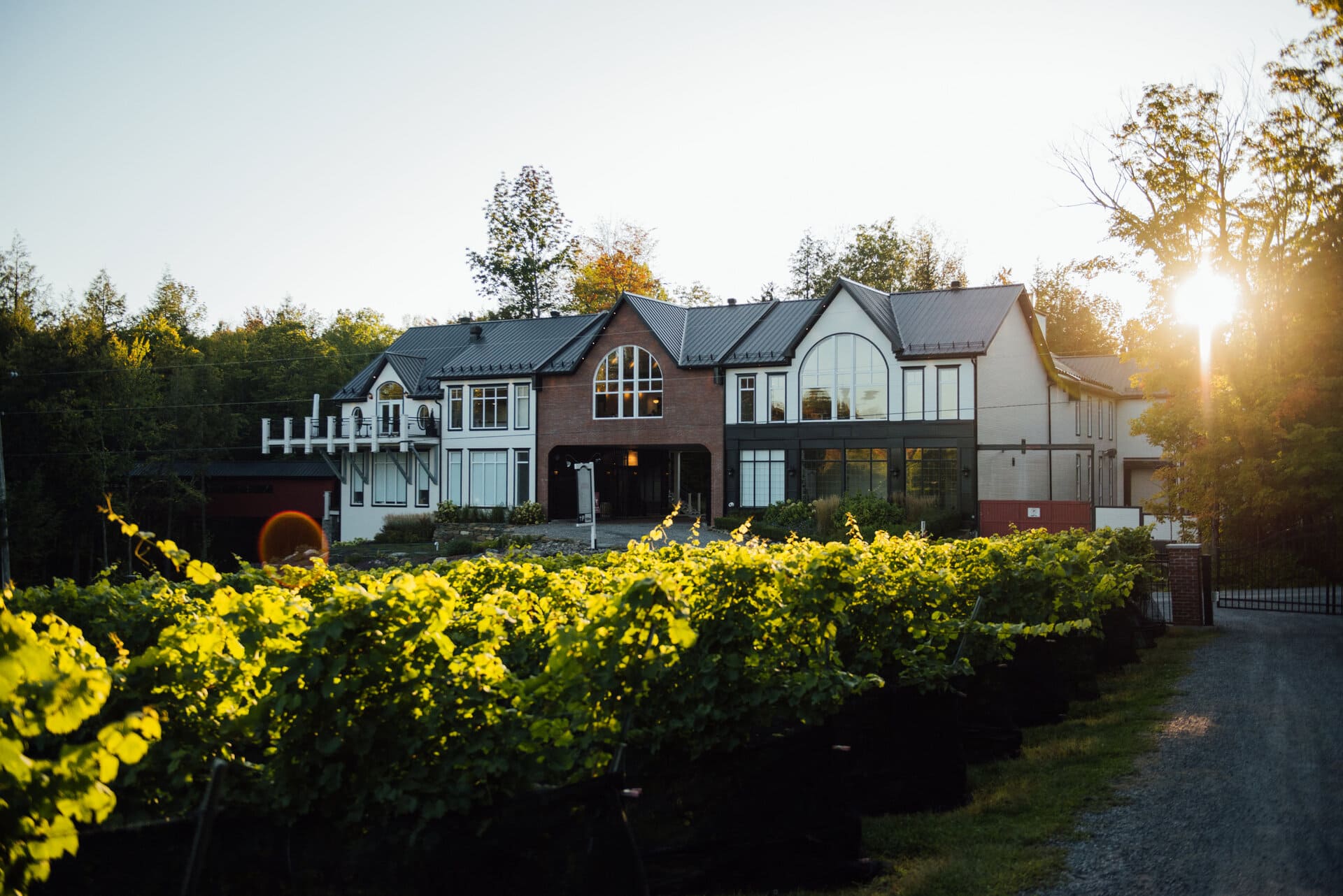 Vignoble Du Ruisseau, Eastern Townships, Quebec.