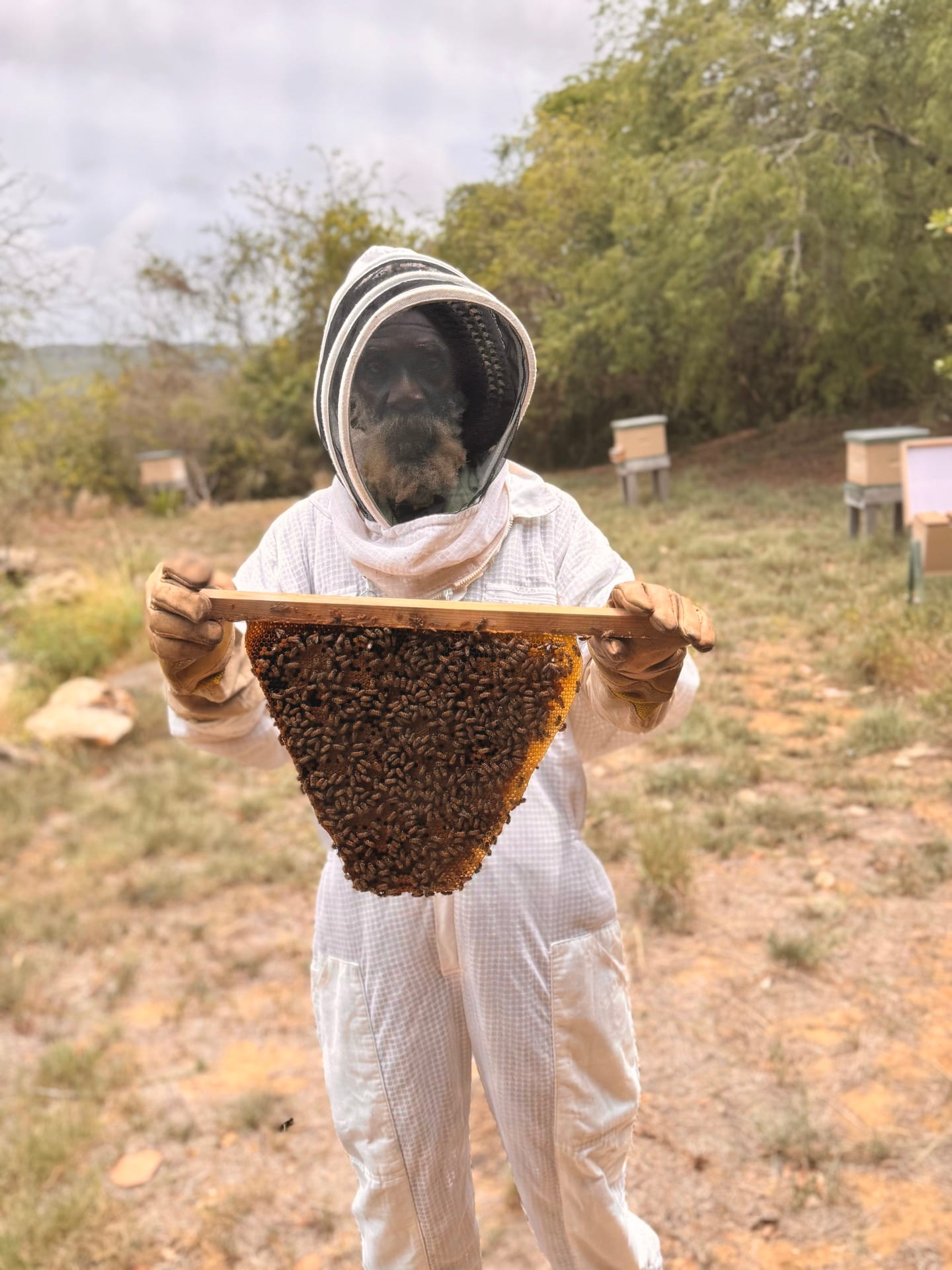 Beekeeper Mike Hinkson shows a frame filled with bees on a beekeeping tour at Walkers Reserve.