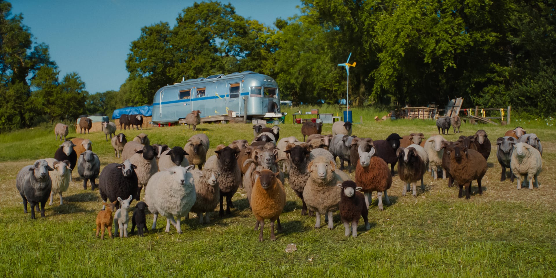 The Sheep Detectives stars a variety of helpful barnyard animals, especially sheep.